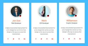 wp-team-responsive-members-showcase-gridslider-staff-list