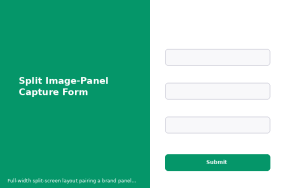Split Image-Panel Capture Form